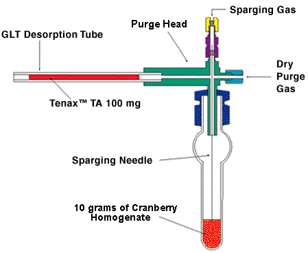 Purge and Trap apparatus